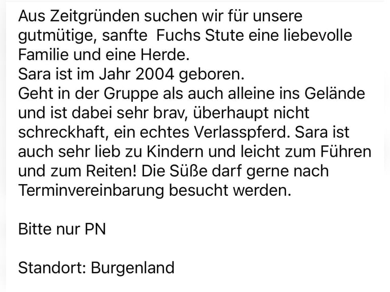 Austriaco Giumenta 20 Anni 165 cm Sauro in Deutschkreutz