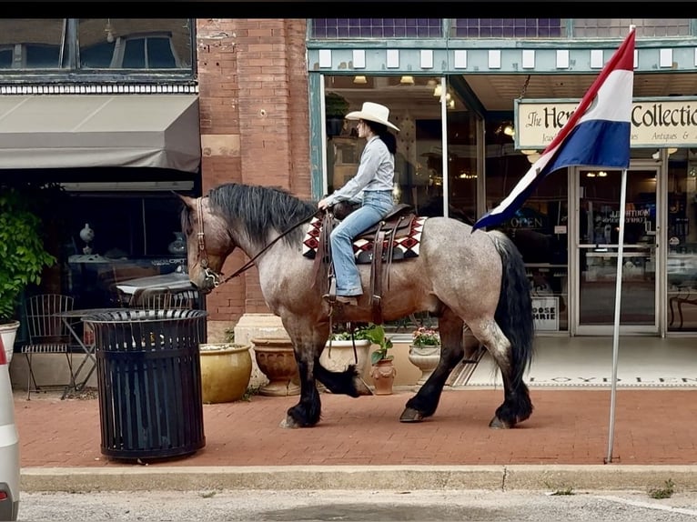Autres races Hongre 8 Ans 163 cm Roan-Bay in Weatherford, TX