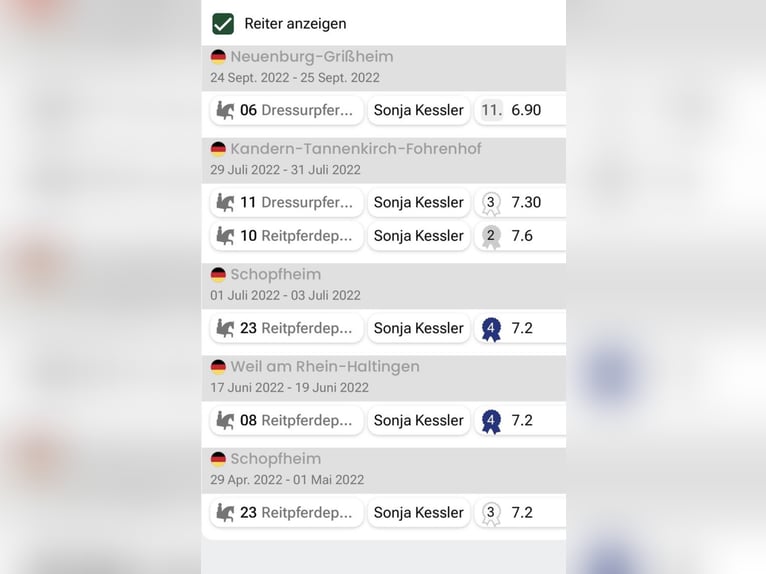 Baden Wuerttemberg Gelding 8 years 17,2 hh Bay-Dark in Kandern