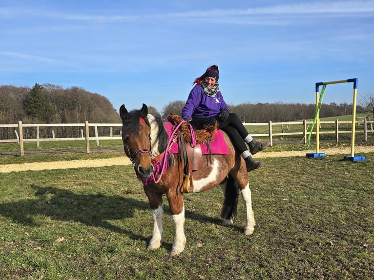 Barocco pinto Giumenta 8 Anni 143 cm Pezzato in Linkenbach