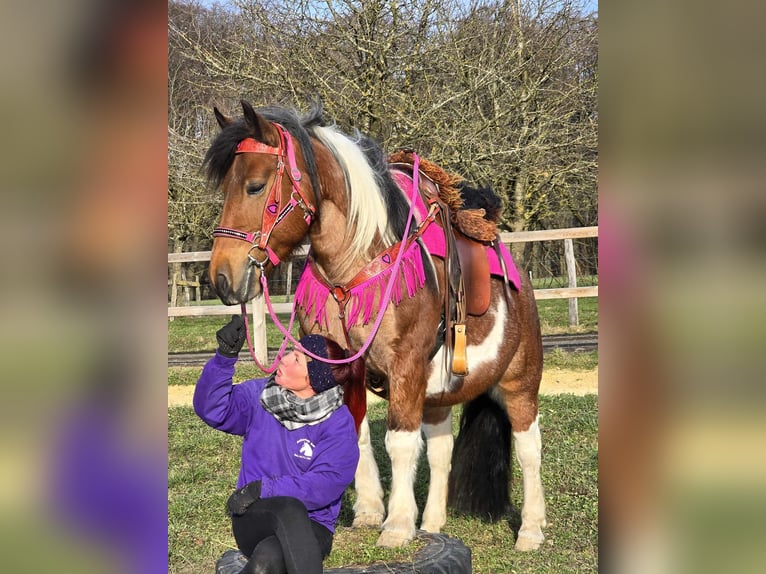 Barocco pinto Giumenta 8 Anni 143 cm Pezzato in Linkenbach
