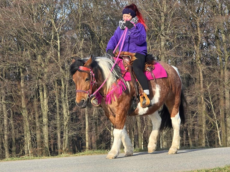Barocco pinto Giumenta 8 Anni 143 cm Pezzato in Linkenbach