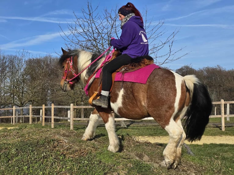 Barocco pinto Giumenta 8 Anni 143 cm Pezzato in Linkenbach