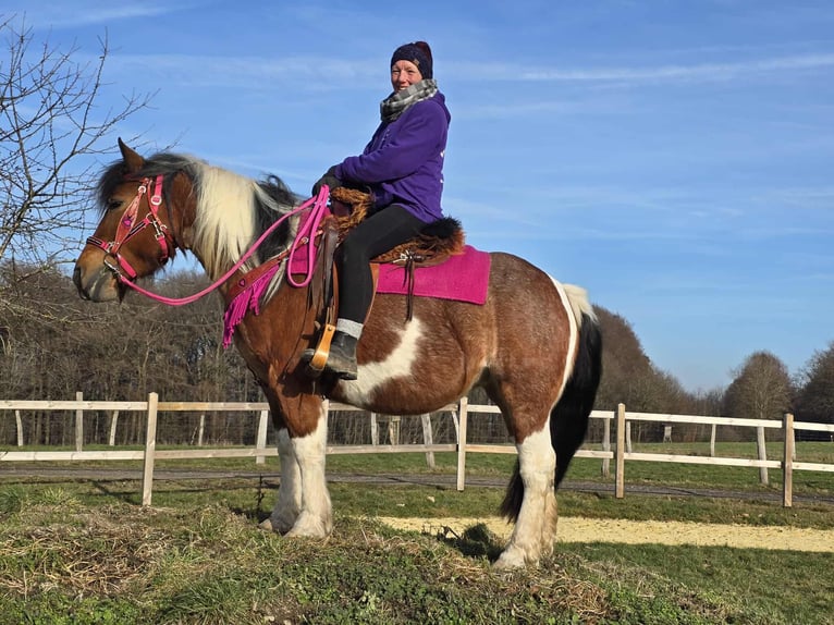 Barock Pinto Jument 8 Ans 143 cm Pinto in Linkenbach