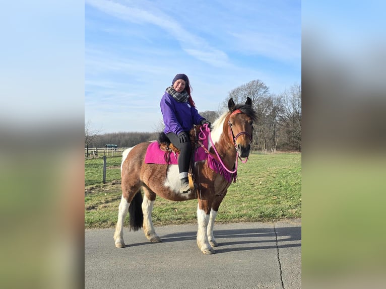 Barock Pinto Jument 8 Ans 143 cm Pinto in Linkenbach