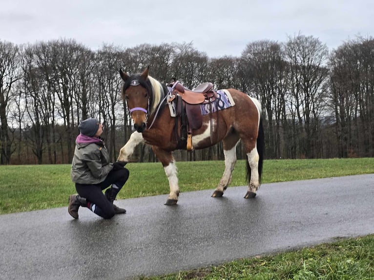 Barock Pinto Mix Merrie 6 Jaar 142 cm Gevlekt-paard in Linkenbach