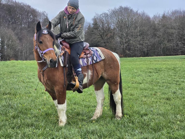 Barock Pinto Mix Merrie 6 Jaar 142 cm Gevlekt-paard in Linkenbach