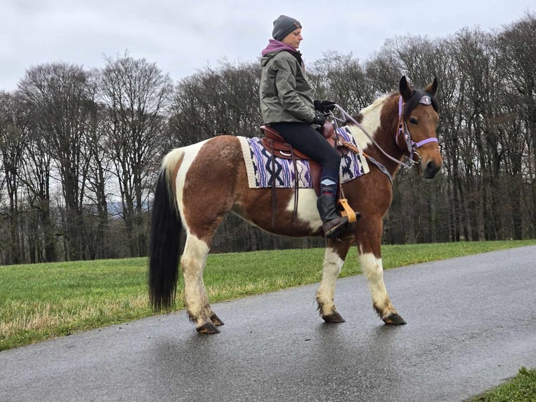 Barock Pinto Mix Merrie 6 Jaar 142 cm Gevlekt-paard in Linkenbach