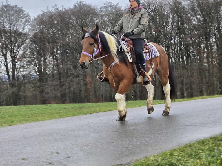 Barock Pinto Mix Merrie 6 Jaar 142 cm Gevlekt-paard in Linkenbach