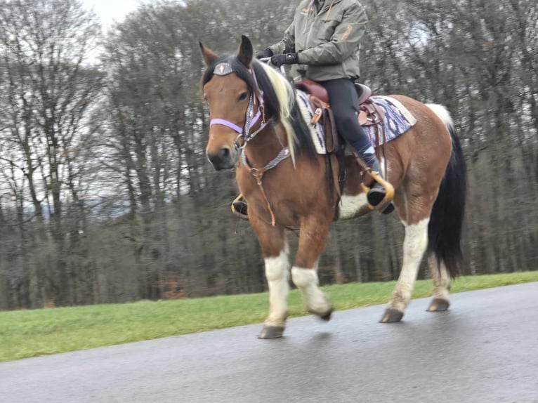 Barock Pinto Mix Merrie 6 Jaar 142 cm Gevlekt-paard in Linkenbach