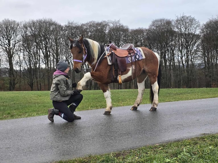 Barock Pinto Mix Merrie 6 Jaar 142 cm Gevlekt-paard in Linkenbach