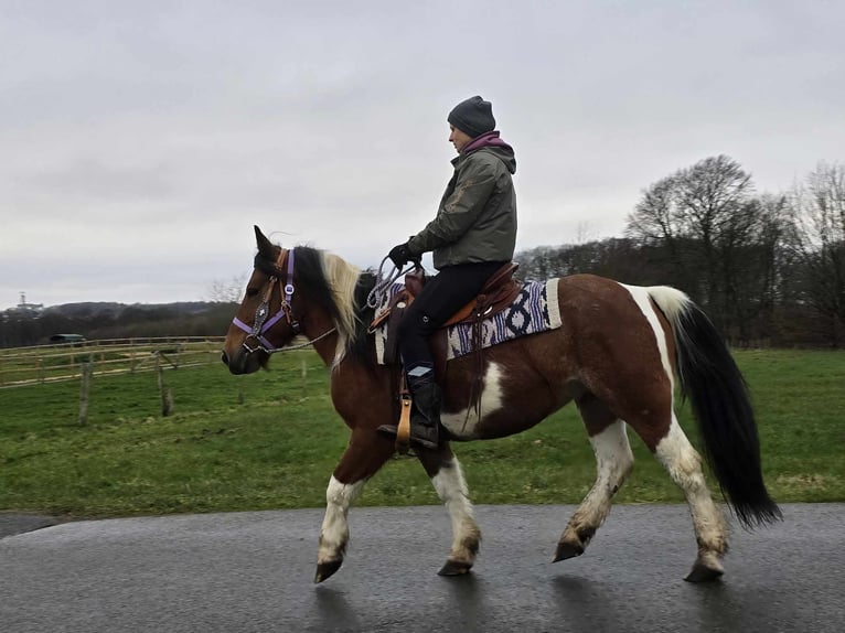 Barock Pinto Mix Merrie 6 Jaar 142 cm Gevlekt-paard in Linkenbach