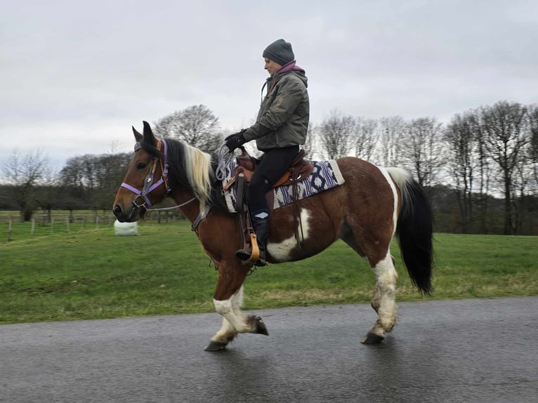 Barock Pinto Mix Merrie 6 Jaar 142 cm Gevlekt-paard in Linkenbach