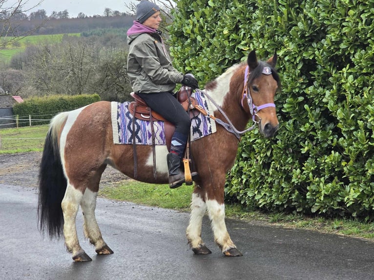 Barock Pinto Mix Merrie 6 Jaar 142 cm Gevlekt-paard in Linkenbach