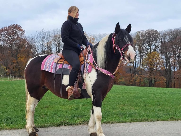 Barock Pinto Merrie 7 Jaar 148 cm Gevlekt-paard in Linkenbach