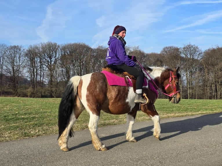 Barock Pinto Merrie 8 Jaar 143 cm Gevlekt-paard in Linkenbach