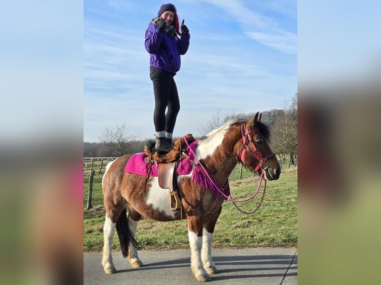 Barock Pinto Merrie 8 Jaar 143 cm Gevlekt-paard in Linkenbach