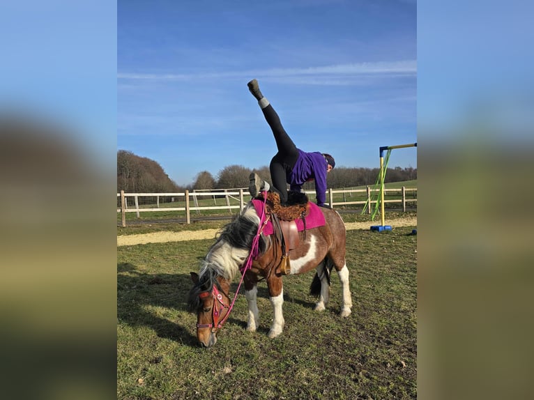 Barock Pinto Merrie 8 Jaar 143 cm Gevlekt-paard in Linkenbach