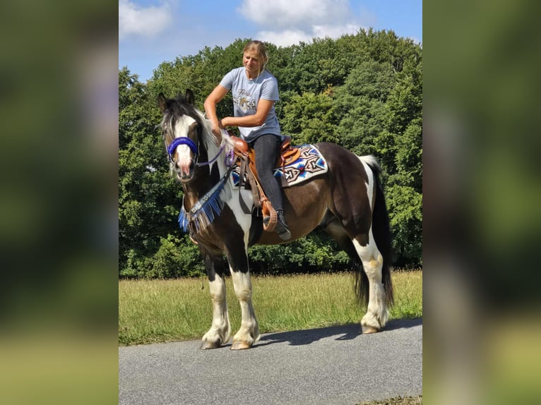 Barockpinto Mix Wallach 3 Jahre 150 cm Schecke in Linkenbach