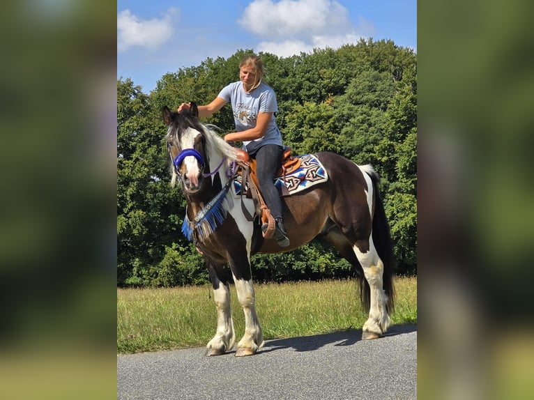 Barockpinto Mix Wallach 3 Jahre 150 cm Schecke in Linkenbach