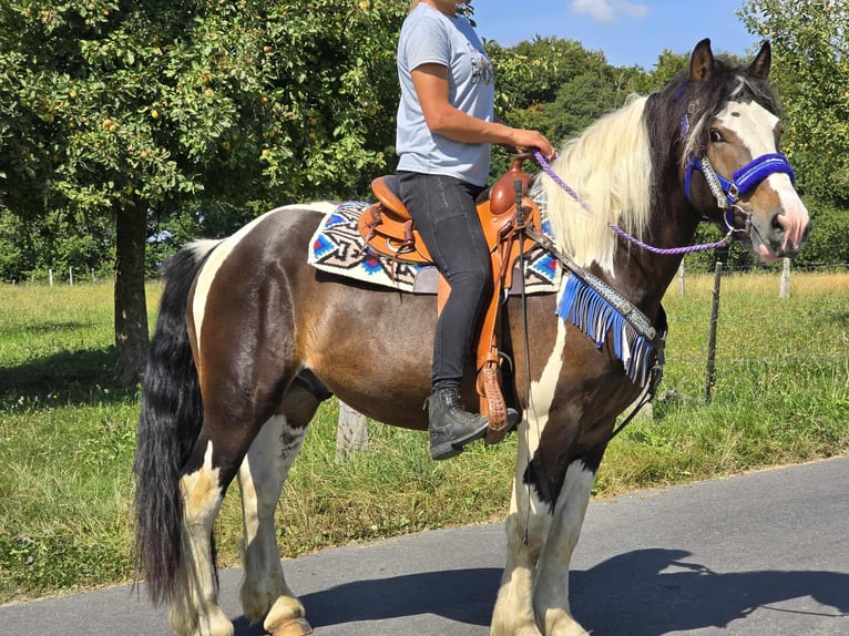 Barockpinto Mix Wallach 3 Jahre 150 cm Schecke in Linkenbach