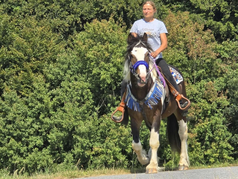 Barockpinto Mix Wallach 3 Jahre 150 cm Schecke in Linkenbach