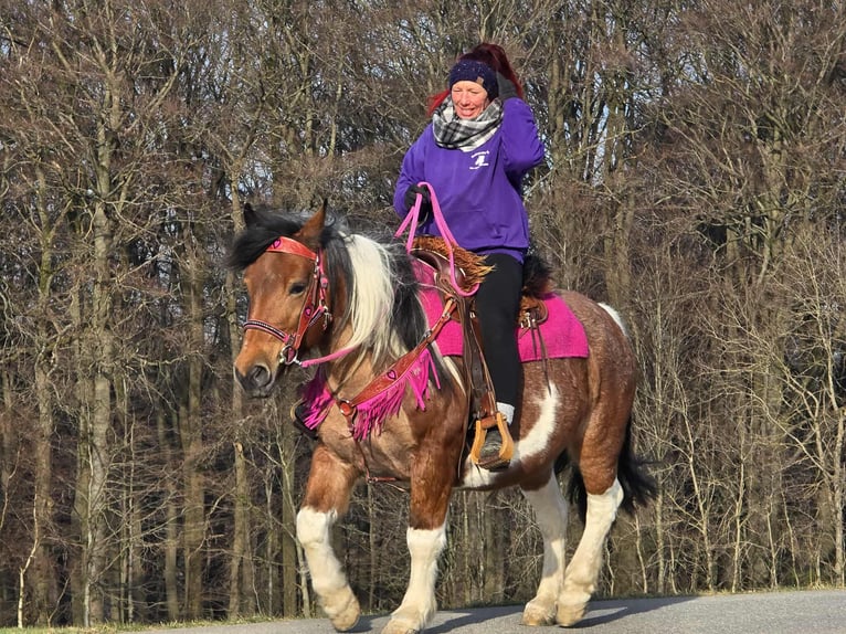 Barokowy pinto Klacz 8 lat 143 cm Srokata in Linkenbach