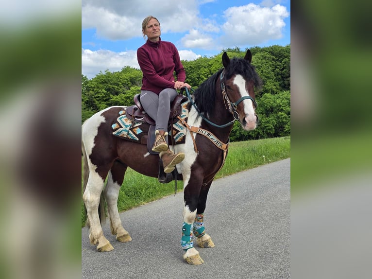 Barokowy pinto Wałach 3 lat 152 cm Srokata in Linkenbach