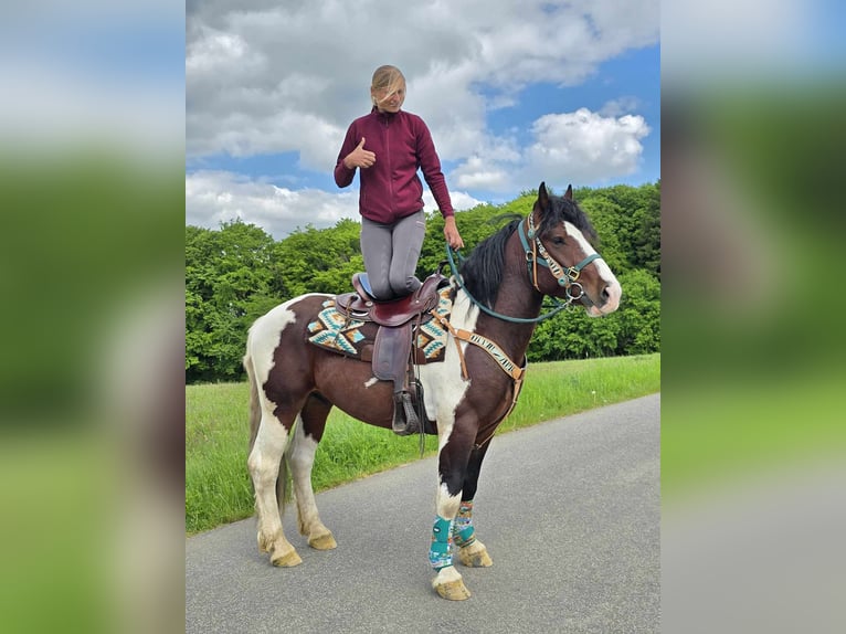Barokowy pinto Wałach 3 lat 152 cm Srokata in Linkenbach