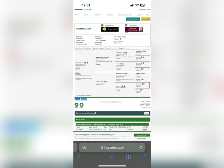 Bavarese Giumenta 15 Anni 170 cm Grigio in Freden (Leine)