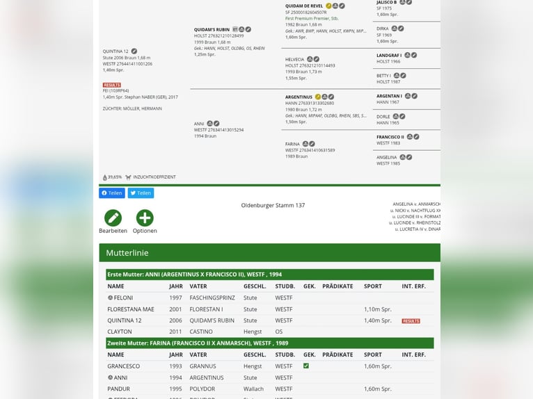 Bavarese Giumenta 17 Anni 172 cm Baio in Seester