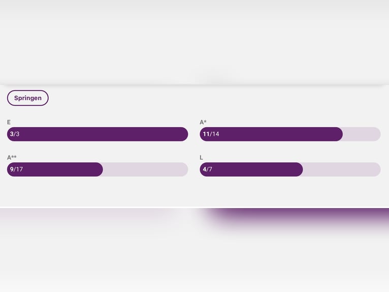 Bavarese Giumenta 6 Anni 168 cm Baio scuro in Küps