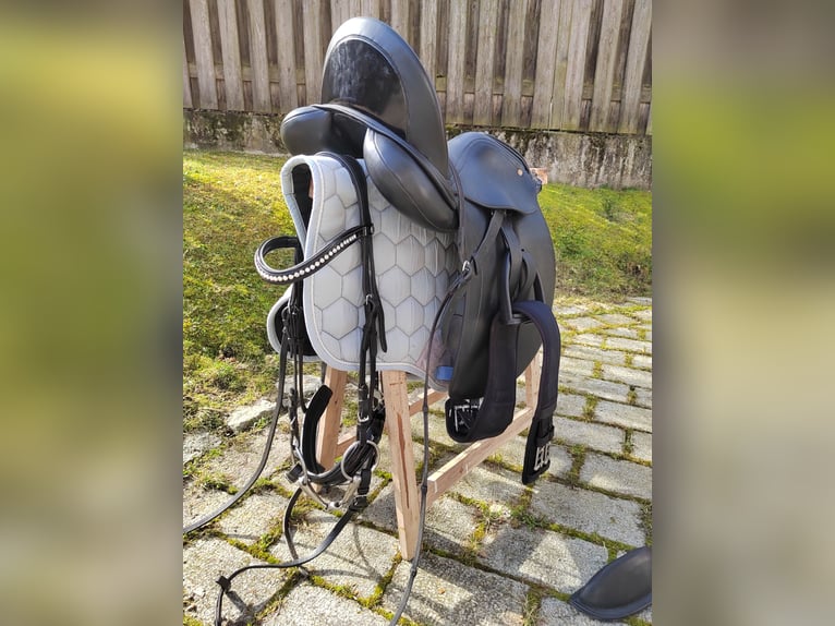 Bavarian Warmblood Mare 13 years 16.3 hh Bay-Dark in Dietersburg