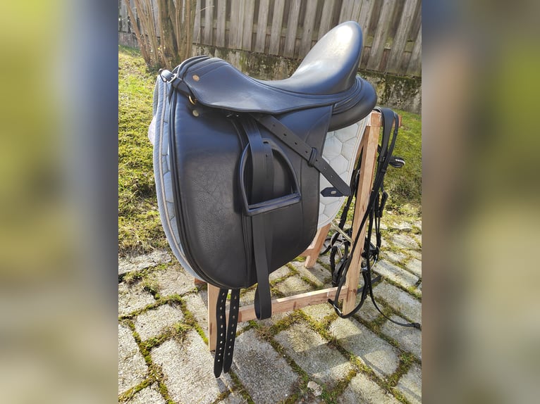 Bavarian Warmblood Mare 13 years 16,3 hh Bay-Dark in Dietersburg