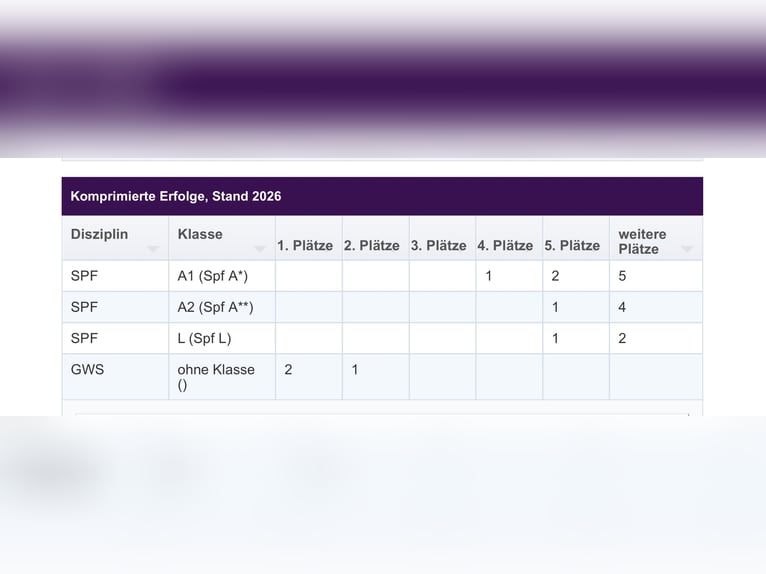 Bavarian Warmblood Mare 6 years 16,1 hh Bay-Dark in Küps