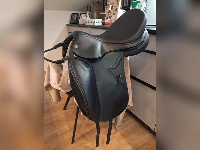 Bayerisches warmbloed Merrie 13 Jaar 168 cm Donkerbruin in Oberpöring