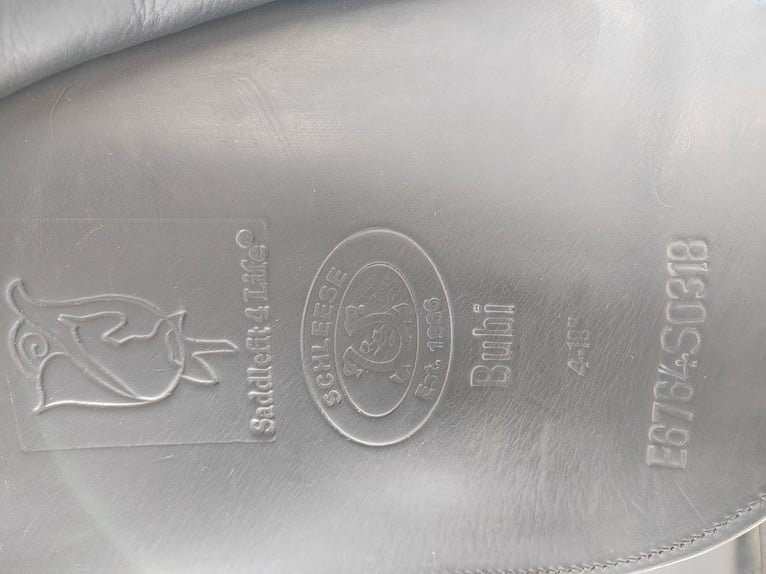 Bayerisches warmbloed Merrie 13 Jaar 172 cm Donkerbruin in Dietersburg