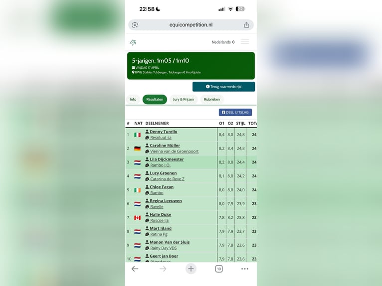 Belga Stallone Puledri (06/2026) Sauro in Tessenderlo