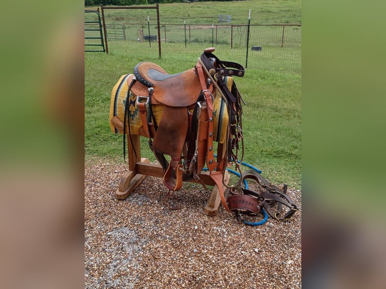 Belgian Draft Gelding 4 years 17 hh Chestnut in Decatur