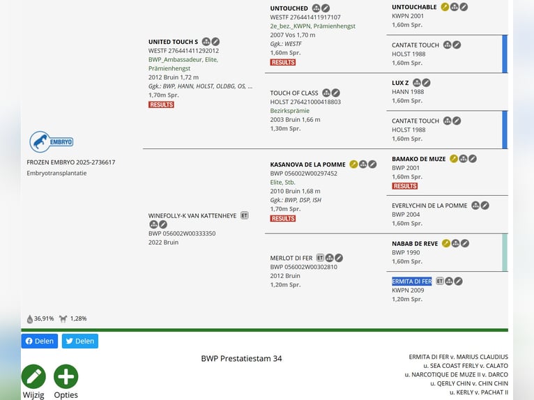 Belgian Warmblood Unknown Foal (01/2026)  in Swarzędz