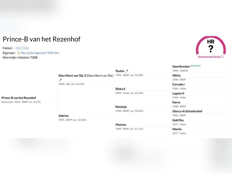 Belgisch Sportpaard Ruin 10 Jaar Bruin in Oosteeklo