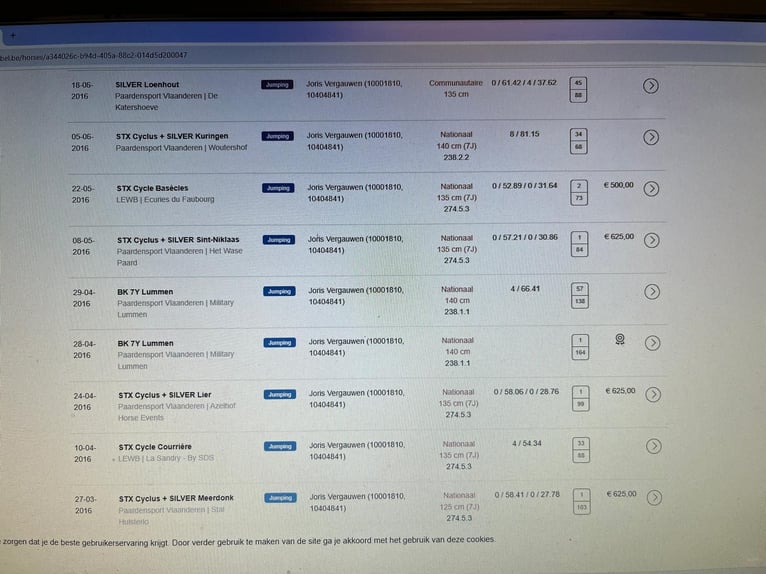 Belgisch Warmbloed Merrie 17 Jaar 100 cm Gevlekt-paard in Grote Brogel