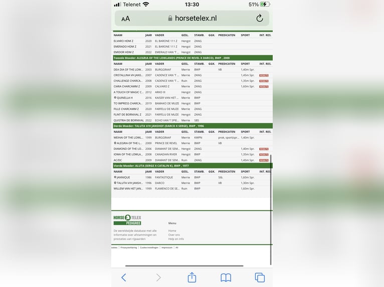 Belgisches Warmblut Wallach 5 Jahre 168 cm Brauner in Smetlede