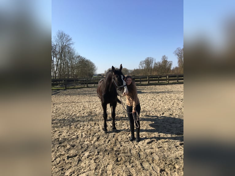 Bijrijder/verzorgster aangeboden