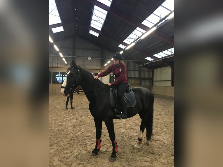 Bijrijder/verzorgster aangeboden