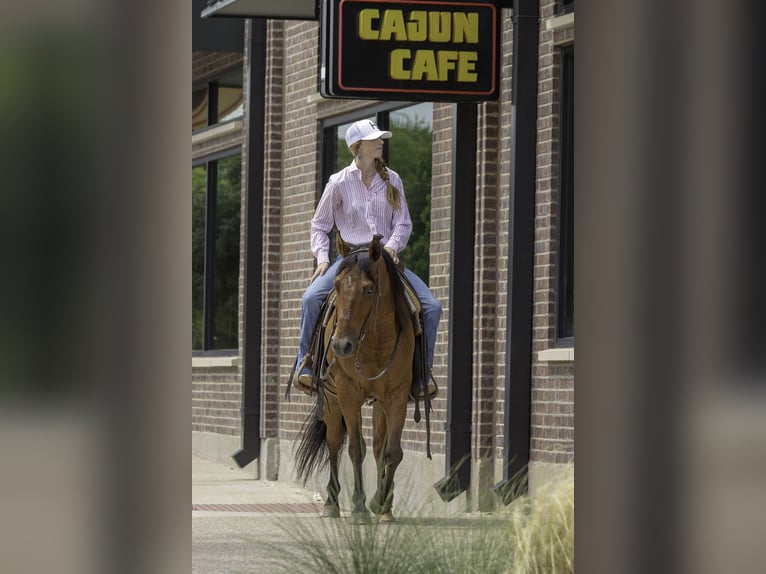 Caballo cuarto de milla Caballo castrado 10 años 147 cm Castaño rojizo in Weatherford, TX