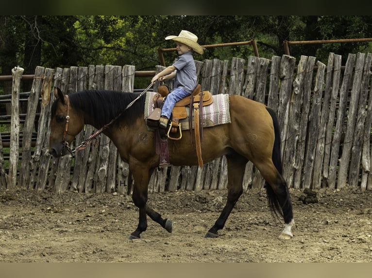 Caballo cuarto de milla Caballo castrado 10 años 147 cm Castaño rojizo in Weatherford, TX
