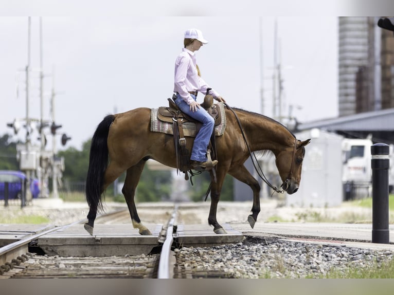 Caballo cuarto de milla Caballo castrado 10 años 147 cm Castaño rojizo in Weatherford, TX