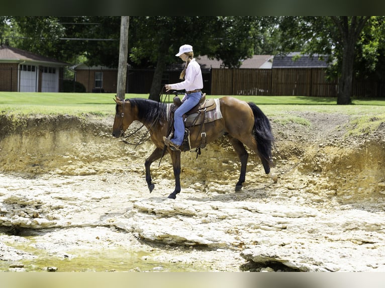 Caballo cuarto de milla Caballo castrado 10 años 147 cm Castaño rojizo in Weatherford, TX
