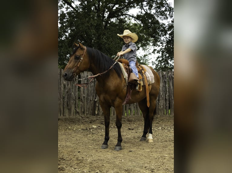 Caballo cuarto de milla Caballo castrado 10 años 147 cm Castaño rojizo in Weatherford, TX